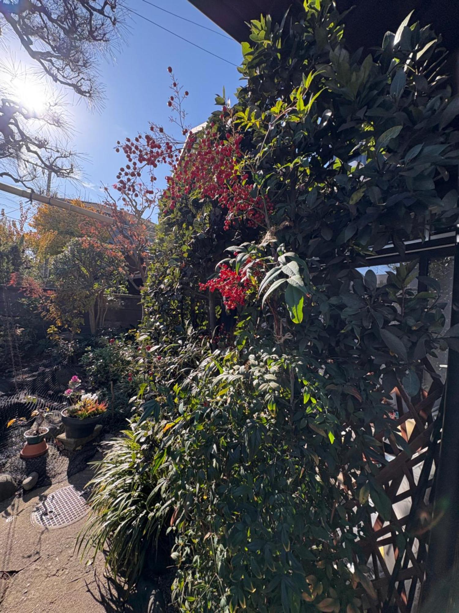 Kitazawa Cozy House 호텔 도쿄 외부 사진