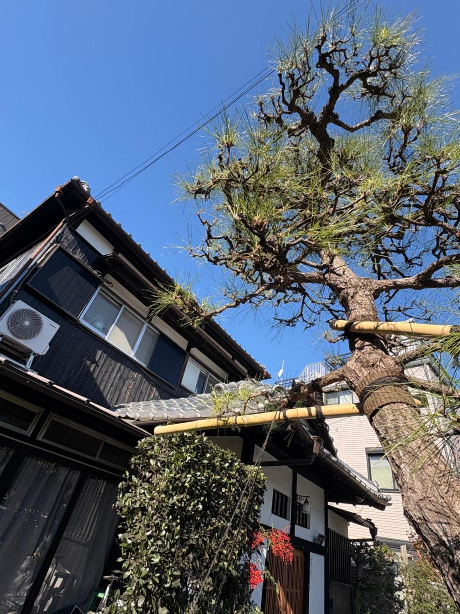 Kitazawa Cozy House 호텔 도쿄 외부 사진